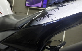 KAWASAKI NINJA 250R EX250K