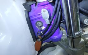 YAMAHA TT250R RAID 4GY