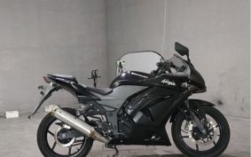KAWASAKI NINJA250R EX250K
