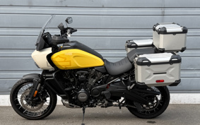 HARLEY PAN AMERICA 1250 SPECIAL 2023 ZES