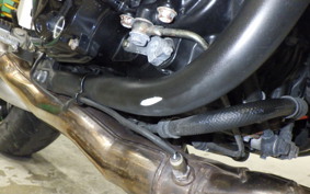 KAWASAKI ZRX1200 D 2009 ZRT20D