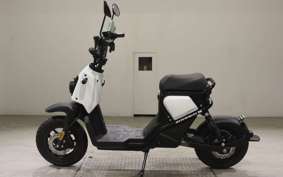 HONDA ZOOMERE 2022