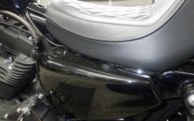 HARLEY XL1200NS 2020