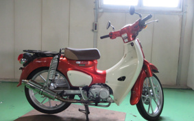 HONDA SUPER CUB110 JA59