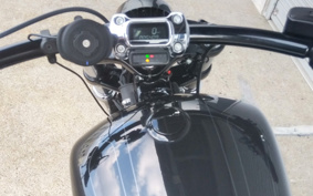 HARLEY FXBRS 2022 YHK