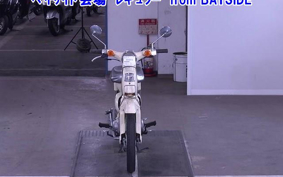 HONDA LITTLE CUB