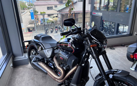 HARLEY FXDR114 2019 YVK