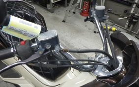YAMAHA MAXAM 250 2009 SG21J