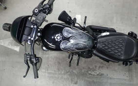 HARLEY XL1200NS 2021