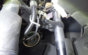 KAWASAKI NINJA 250 SL 2024 BX250A