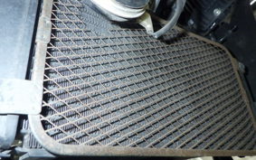 SUZUKI Vｽﾄﾛｰﾑ250 2007