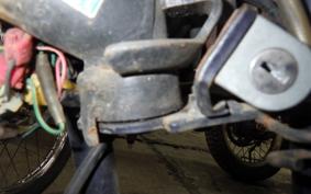 HONDA MONKEY 2009 Z50J