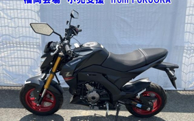 OTHER Z125PRO