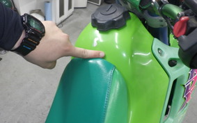 KAWASAKI KDX200SR Gen.2 2020 DX200G