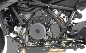 KTM BRABUS 1300R 2023 V3940
