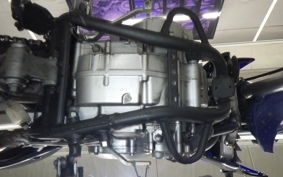 KAWASAKI KLX250D TRACKER X 2025 LX250V