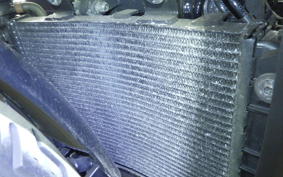 HARLEY RH975 2022
