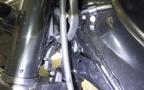 OTHER +ENFIELD ﾒﾃｵ350 2024