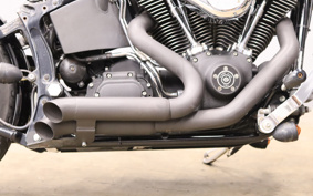 HARLEY FXSTB 2001 BTY
