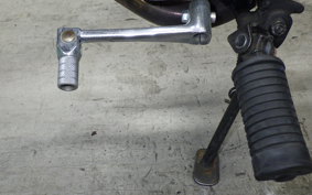 HONDA MONKEY 2013 Z50J
