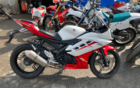 YAMAHA YZF-R15 1CK0