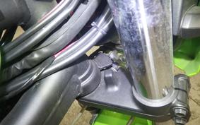 KAWASAKI ZRX1200 D 2017 ZRT20D