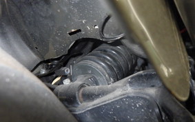 HARLEY FLFB 1750 2019