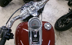 HARLEY FLFBS 2025 YGK