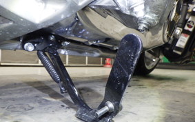 HARLEY FLSTFI1920 2025