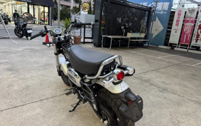 HONDA  DUX 125 JB06