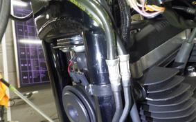 HARLEY XL883N 2021