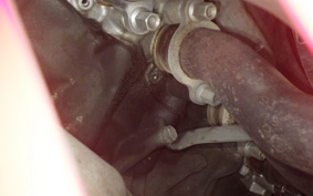 HONDA CBR600RR 2021 PC40