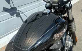 HARLEY FXBB 2019 YJJ
