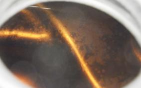 SUZUKI GSX-R1100 1990 GV73A