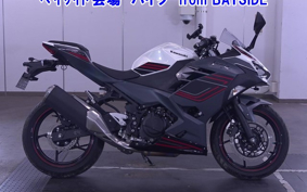 OTHER NINJA 400-2 2023