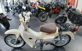 HONDA SUPER CUB110 JA59