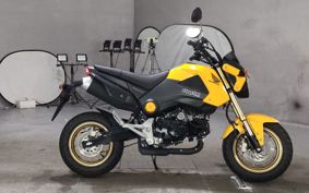 HONDA GU ROM JC61