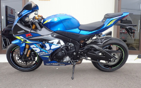 SUZUKI GSX-R1000R ABS 2019 DM11G
