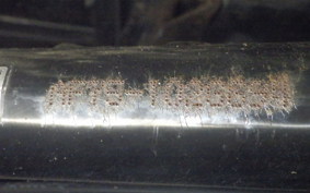 HONDA TACT Gen.4 AF75