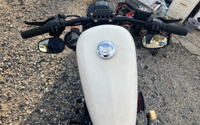 HARLEY HARLEY XL883N 2018 LE2