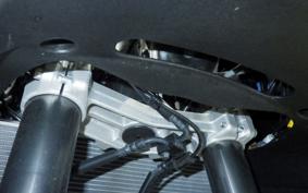 KAWASAKI NINJA 1100SX 2025 ZXT10H