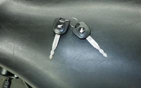 HONDA VT400S 2014 NC46