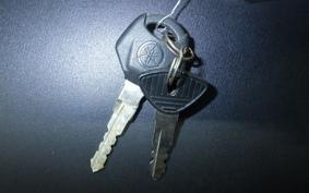 YAMAHA MT-25 A RG43J