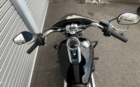 HARLEY FLSB 2025 YMJ