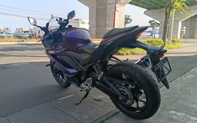 YAMAHA YZF-R25 RG74J