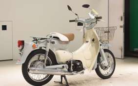 HONDA LITTLE CUB E AA01