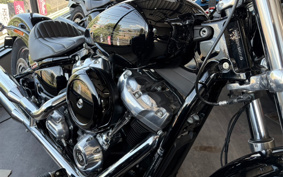 HARLEY FXST1340-1450 2020 BVJ