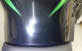 KAWASAKI NINJA 1000SX 2021 ZXT02K