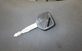 HONDA CBR1100XX 2000