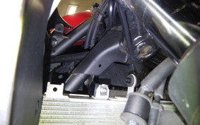KAWASAKI NINJA 250 2
